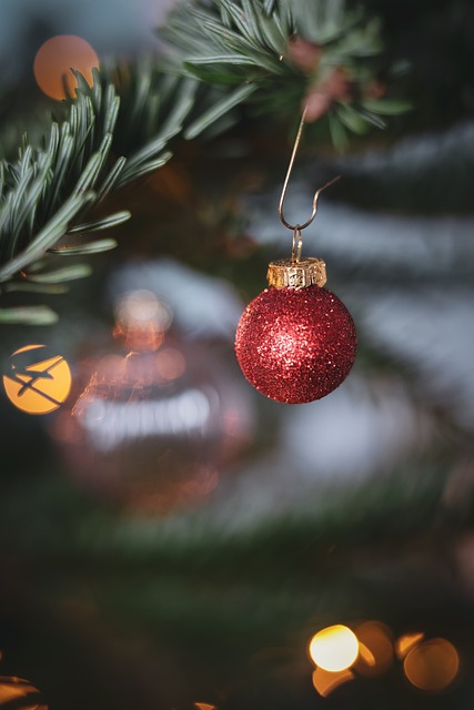 Free Christmas Christmas Tree photo and picture