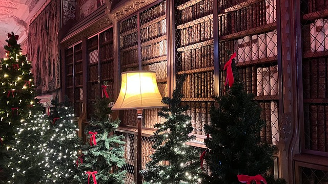 Bibliotek, Bøger, Jul, Træer, Zoner
