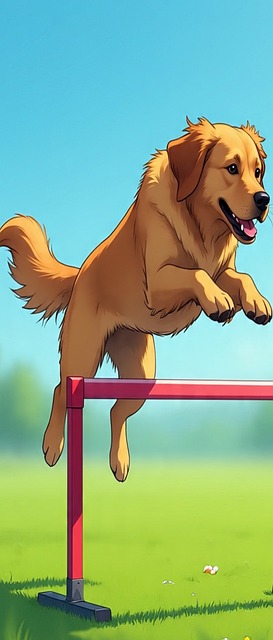 Hund, Kjæledyr, Søt, Dyr, Bulldog, Gress