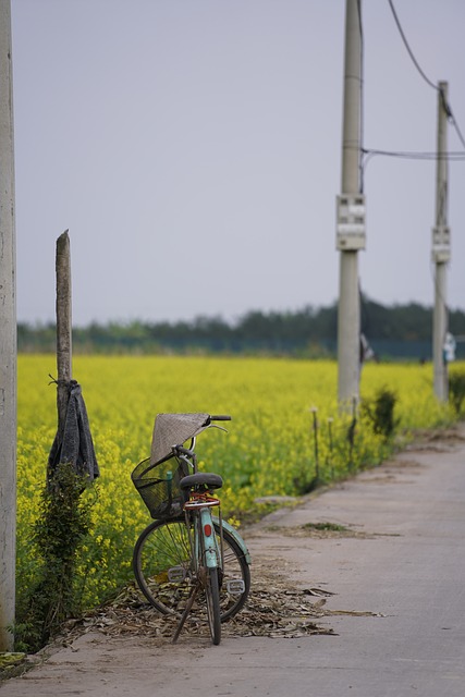Free Bicycle Road photo and picture