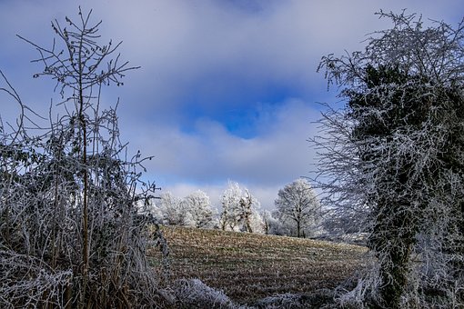 Naturaleza, Paisaje, Invierno, Nieve