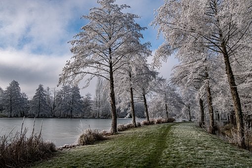 Naturaleza, Paisaje, Invierno, Nieve