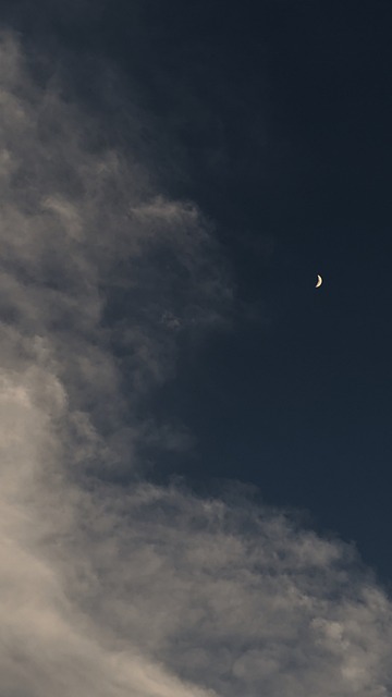 Free Sunset Moon photo and picture