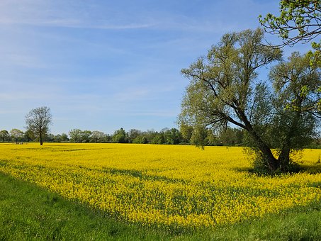 Free Landscape Nature photo and picture