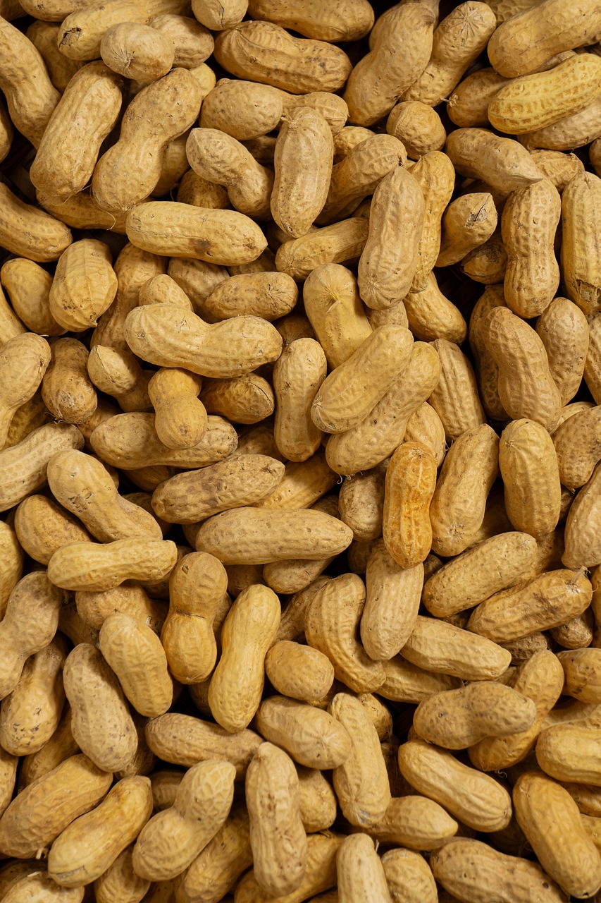 30+ Free Groundnut & Peanuts Images - Pixabay
