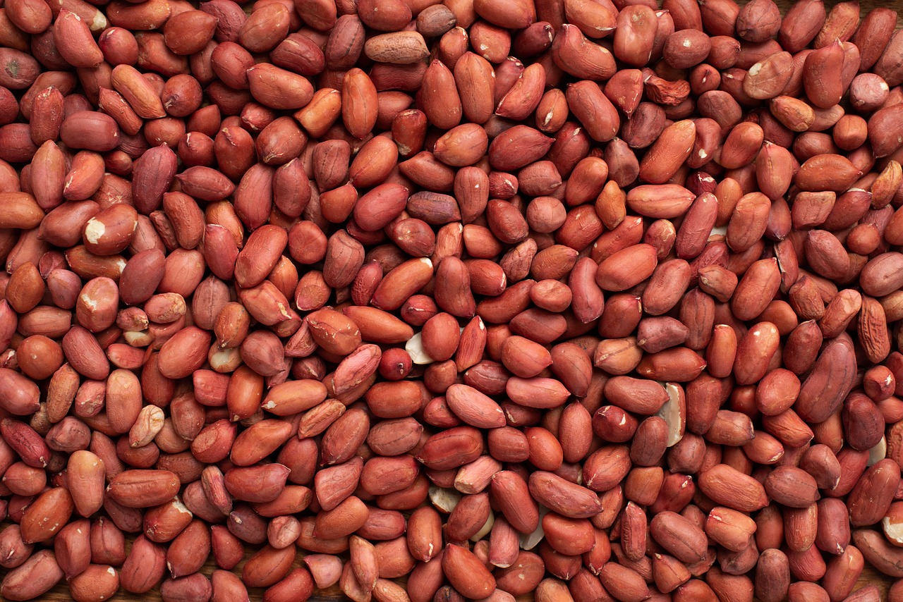 30+ Free Groundnut & Peanuts Images - Pixabay