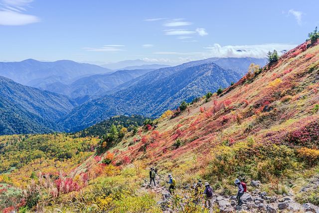Berg, Japan, Herbst, Alpen, Natur