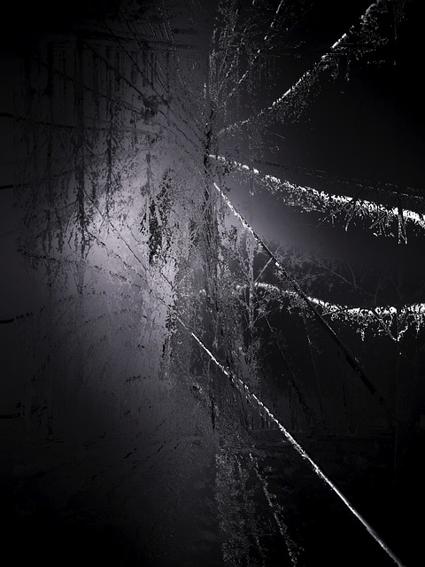 Free Background Black And White photo and picture