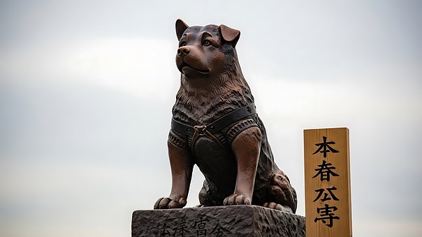 Free Statue Dog photo and picture
