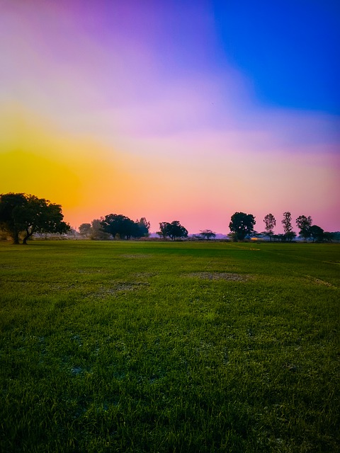 Free Village Rohitpx illustration and picture