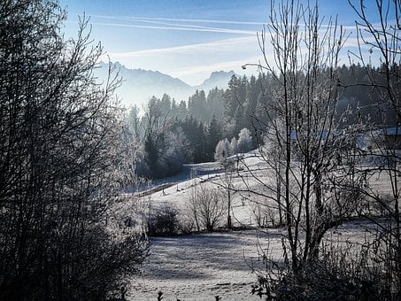 Winter, Natur, Schnee, Winterlich