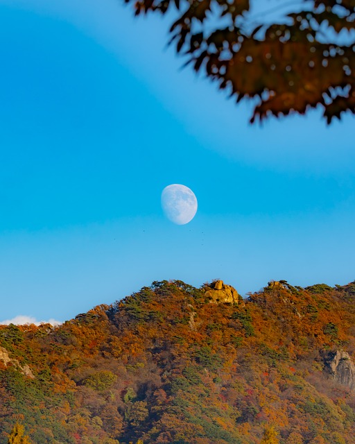 Paisagem, Parque, Outono, Lua, Céu