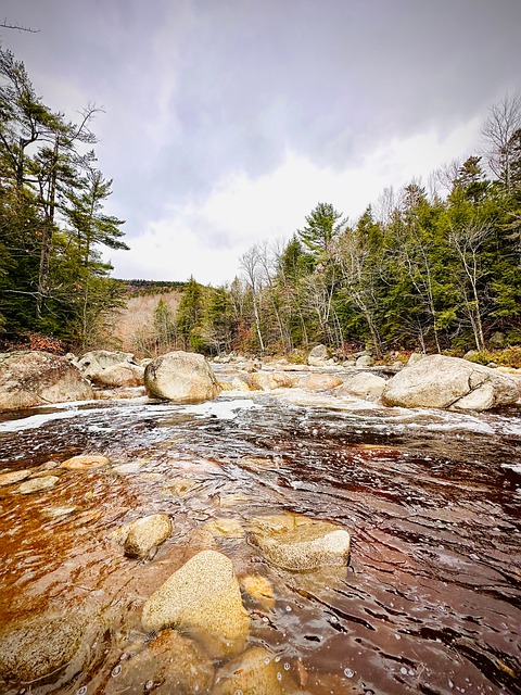 Free River Nature photo and picture