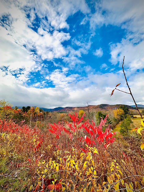 Free Nature Autumn photo and picture