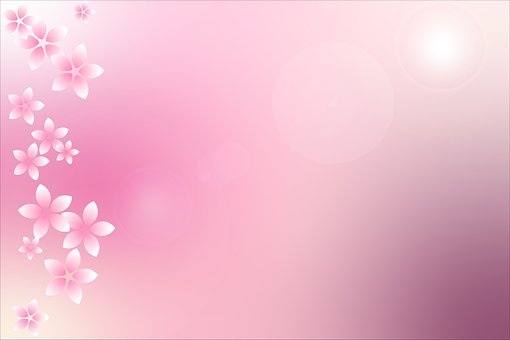 Free Blossom Spring photo and picture