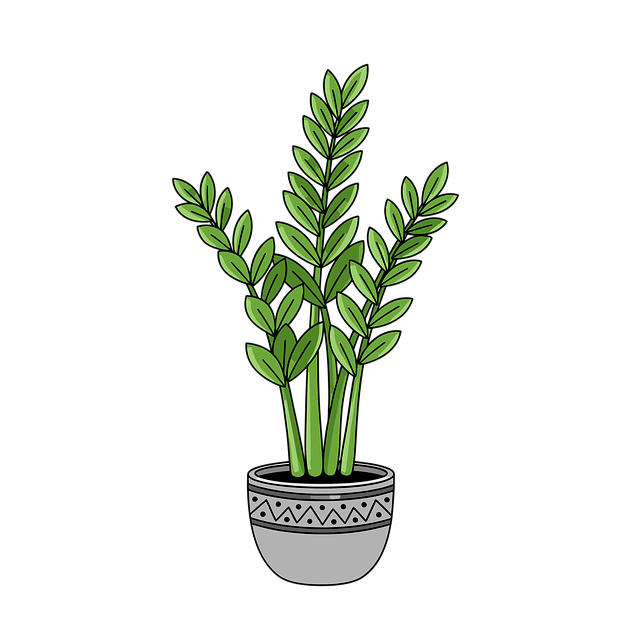 Clipart, Cartoon, Pflanze, Topfpflanze