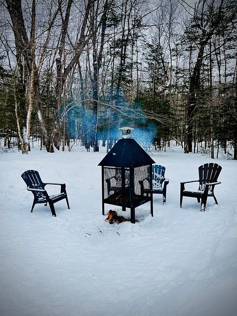 Free Winter Snow photo and picture
