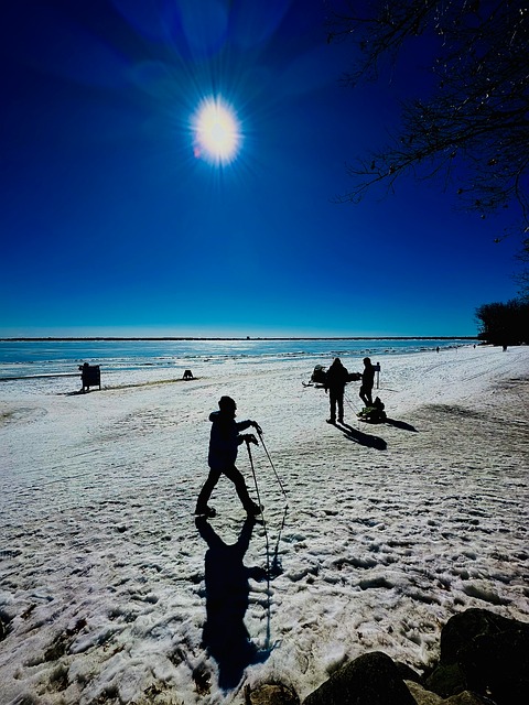 Free Winter Snow photo and picture