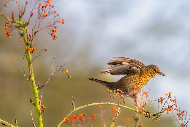 Download free HD stock image of Nature Outdoors Free Nature Outdoors photo and picture