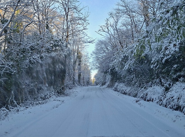 Free Snow Road photo and picture