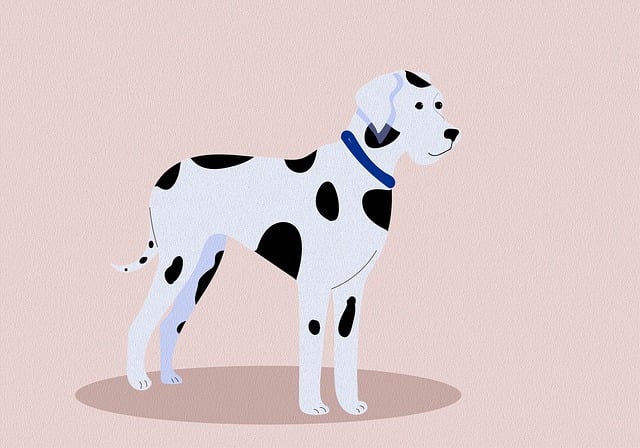 Free dog stains nature illustration