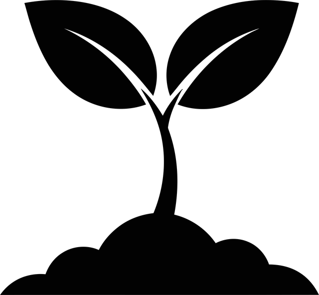 Free plant seedling sprout vector