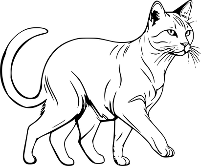 Kat, Kæledyr, Portræt, Pattedyr, Killing