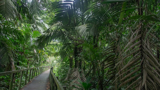 Free Nature Wildlife photo and picture