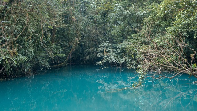 Free River Nature photo and picture