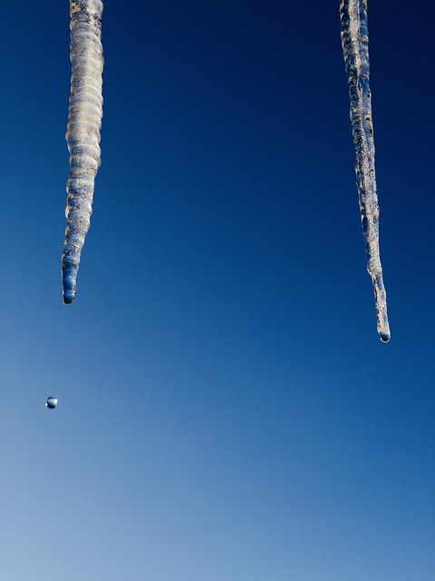 Free Icicle Winter photo and picture