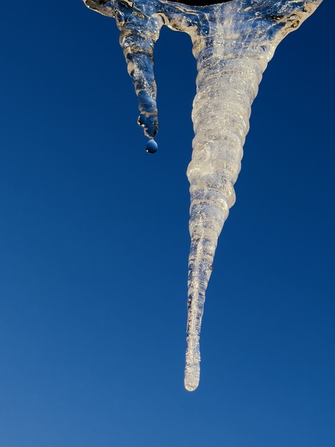 Free Icicle Winter photo and picture