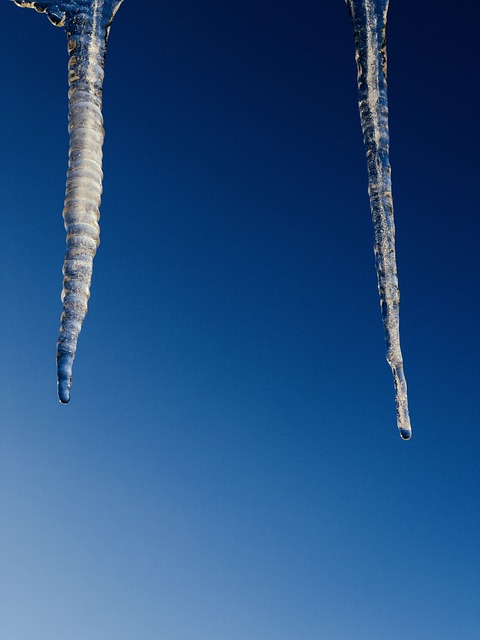 Free Icicle Winter photo and picture