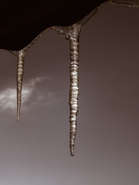 Free Old Winter photo and picture