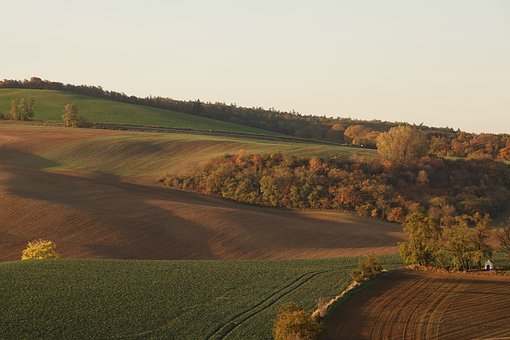 Paysage, Nature, Automne, Coloré