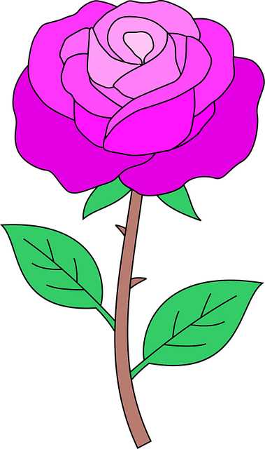 Free Flower Art vector and picture