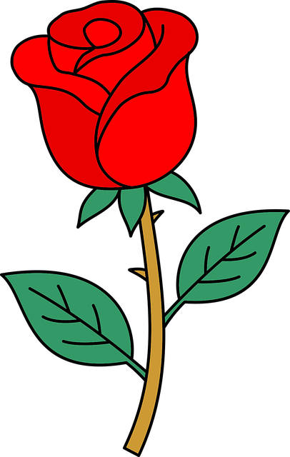 Free Rose Flower vector and picture