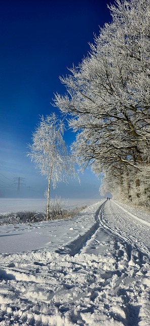 Vinterlandskab, Sne, Natur, Vinter