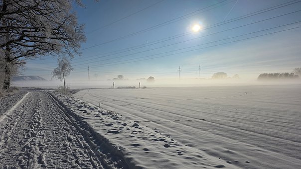 Vinterlandskab, Tåge, Kold, Sne, Mark
