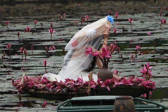 Free Vietnamese Landscape Lotus Flowers photo and picture
