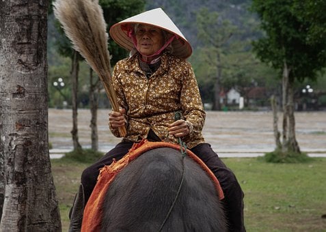 Vietnam, Byvol, Kroj, Portrét