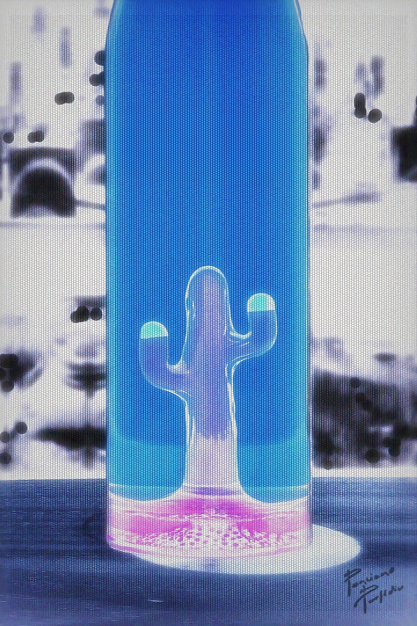 Download free HD stock image of Cactus Bottle Cactus Free Cactus Bottle Cactus photo and picture