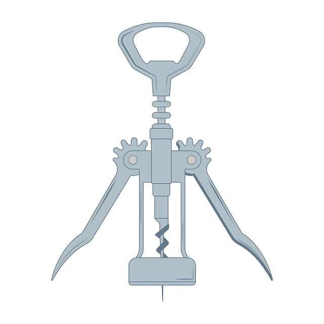 Free opener bar wine vector