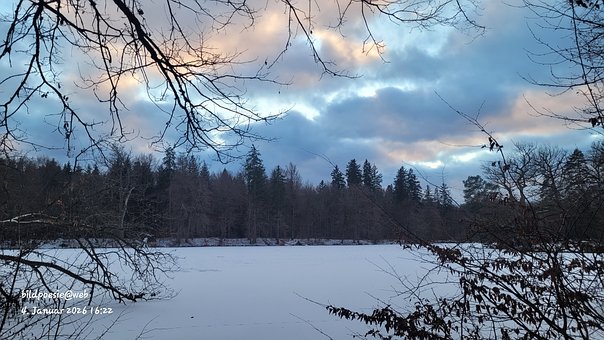Free Winter Snow photo and picture