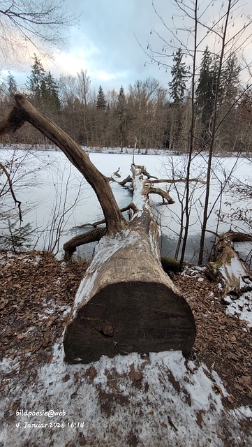 Free Winter Nature photo and picture