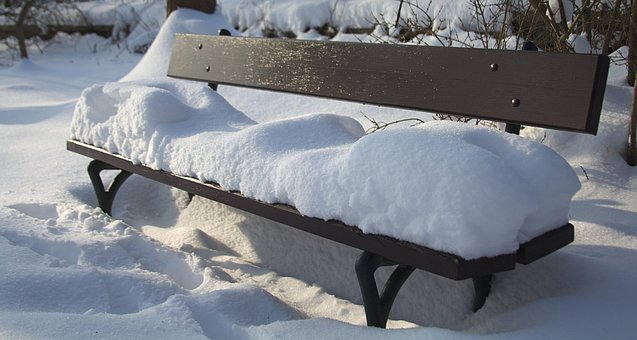Free Bench Park photo and picture