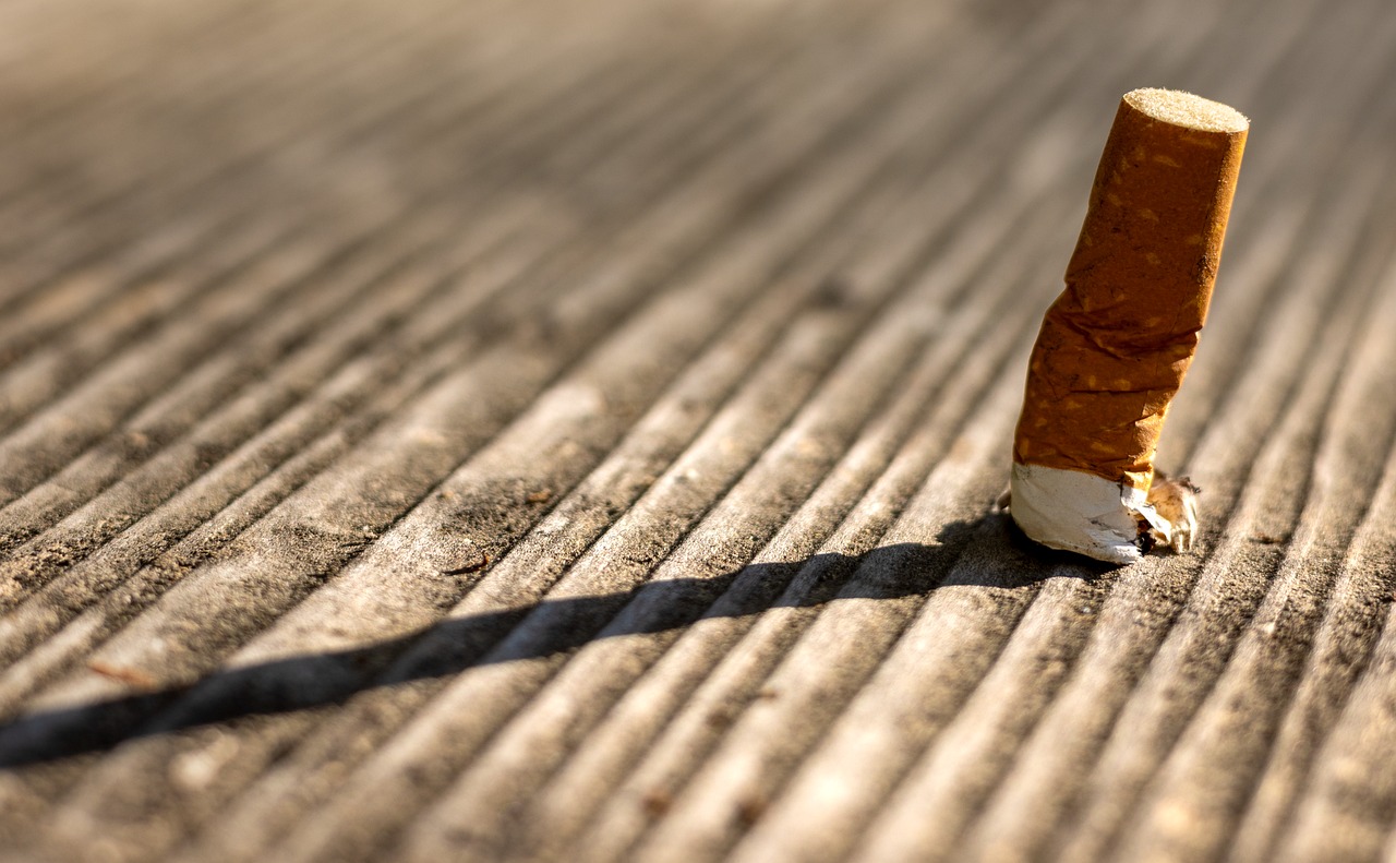 symptoms of cigarette smoke allergy Tobacco Smoke Induces and Alters Immune Responses in the Lung Triggering Inflammation, Allergy, Asthma and Other Lung Diseases: A Mechanistic Review