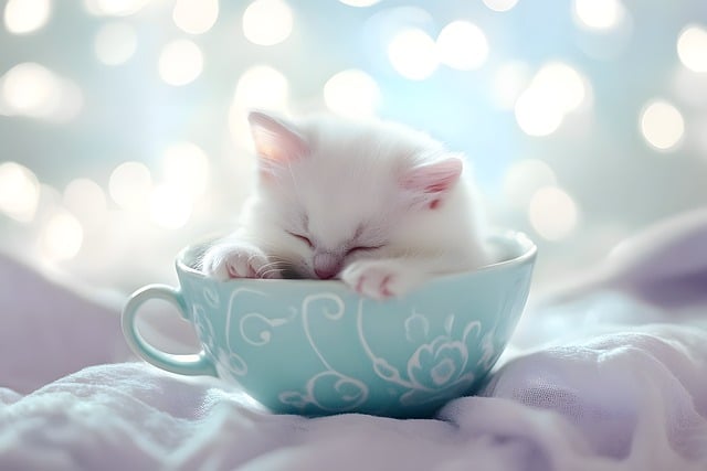 Free little cat tender serenity illustration