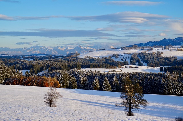 Free Winter Snow photo and picture