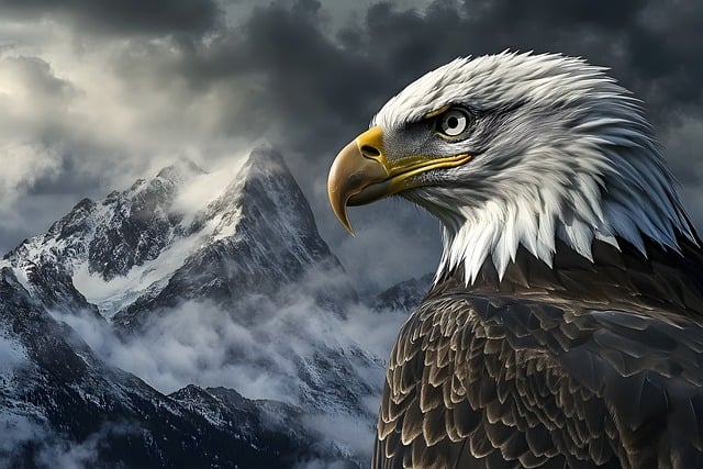 Free eagle liberty transformation illustration