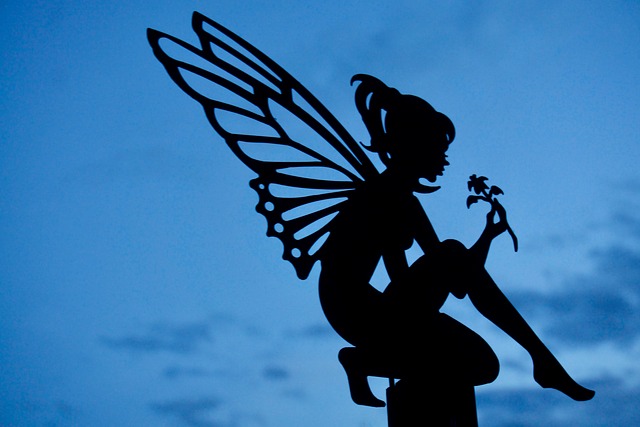 Free Silhouette Fairy photo and picture